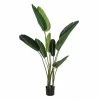 Planta Decorativa Verde PVC 150 Cm Ave Del Paraíso -Tienda de muebles de jardín 006294f7114d10618e94f7c81910446316660679 78ef0db534c44d1aa4804720061b8292