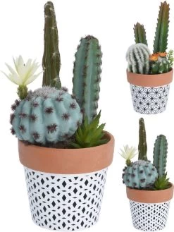 Surtido Planta Artificial CACTUS MACETA
