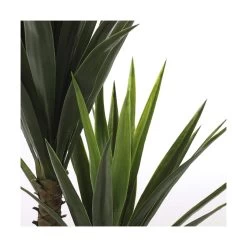 Planta Decorativa Mica Decorations Yucca (120 X 60 Cm) -Tienda de muebles de jardín 1061da742110b4f688e12c1ab8194596906a0a10 aabc321407ec428d82fb8f74dcf1c5df