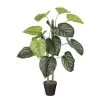 Planta Artificial CALADIUM De La Marca MICA DECORATIONS -Tienda de muebles de jardín 13478dbad963b17e1dc8aac2507659a3952e5dd7 111802