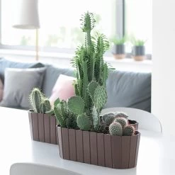 Prosperplast Jardinera Para Balcón BOARDEE BASIC 7,9L., Dimensiones (mm) 587x144x130, Color Blanco -Tienda de muebles de jardín 1432794ba0b83f880b0fe965cfb4fd6cde017382 3aee714da4ea4c4f80096d1ea215f0c0