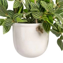 Planta Decorativa 33 X 33 X 24 Cm Blanco Verde PVC -Tienda de muebles de jardín 15c3034c9f4049c2c9ded2fd101436b93917042b d922fbd608ba4c65a3ca5e591472ff21