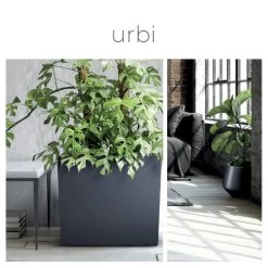 Prosperplast Jardinera Para Balcón Urbi Case , Dimensiones (Mm) 580X180X195, Color Blanco -Tienda de muebles de jardín 1843f1aae7ab1d99bfc196ec7b0ad493999e5832 c116ef33ddc54e15b2d9698f8b4046d7