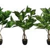 PLANTA ARTIFICIAL MANGLAR SURTIDA -Tienda de muebles de jardín 1cbf06ea6d22c2f3df8f618567c096b18132a9f5 403593