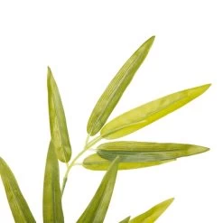 Rama 40 X 30 X 157 Cm Verde -Tienda de muebles de jardín 2439c3e635eded1a59b0ccaefd45a79895746db5 f26e7ccc0ee5469885ba762780211677