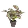 Planta Artificial BEGONIA Marca MYCA -Tienda de muebles de jardín 25bba00b965efaa5e12df7e426128e9e49dcf063 111034 2