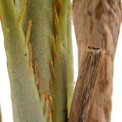 Planta Decorativa Areca Verde 189 Cm 10 Planta Decorativa Areca Verde 189 Cm -Tienda de muebles de jardín 299149f35b43e3ede259d8d33a52948d9afb8d9b 00d92df7f8a34955861d4571d4c0fd92