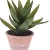 ALOE VERA ARTIFICIAL EN MACETA TERRACOTA -Tienda de muebles de jardín 3287cfc283de8d5c02e8468663fd65009bd95878 403641