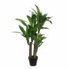 Planta Artificial DRACAENA De La Marca MICA DECORATIONS -Tienda de muebles de jardín 328d9aa3493eb274c45b3a59e39384791da1e1aa 111798