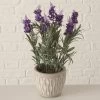 PLANTA EN MACETA LAVENDEL -Tienda de muebles de jardín 3543264f2449e423692d360457f1d5aaf583f967 100557 2