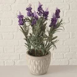 PLANTA EN MACETA LAVENDEL