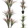 PLANTA YUKA SURTIDA -Tienda de muebles de jardín 37f6a19197dedf5295b54fdc917507abfb063e5c 107170