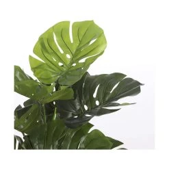 Planta Decorativa Mica Decorations (75 X 100 Cm) -Tienda de muebles de jardín 3bde5c50d9517ead6e6445400a01f82535d612f9 2734abd928a74fe1a70ed150a5076d1a