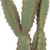 CACTUS FICUS ARTIFICIAL EN MACETA TERRACOTA -Tienda de muebles de jardín 4061b53965b303f1b7019dcc3afa72ee9b515db2 403675