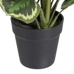 Planta Decorativa 37 X 37 X 41 Cm Verde PVC -Tienda de muebles de jardín 532257ff1cb8eb7c8b4ab1fa698926e27d7a59c2 a3f96dd6deb6415d90f13b98c12a0cf0