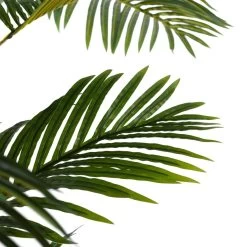 Planta Decorativa 100 X 130 X 210 Cm Verde PVC Palmera -Tienda de muebles de jardín 54dfbaa1228decba20765185f8dd17972e884b10 0cf19960b71d4105b752e542c4e2b477
