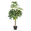 Planta Decorativa 54 X 52 X 120 Cm Verde PVC -Tienda de muebles de jardín 56808478e7c6461ec94a61d417abca401abd5d9b bcd29c3df8f94829bb6725c70841ffff