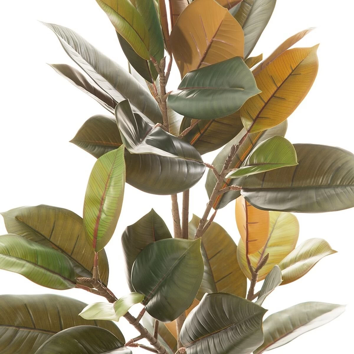 Planta Decorativa 36 X 37 X 90 Cm PVC Ficus Verde Oscuro 4 Planta Decorativa 36 X 37 X 90 Cm PVC Ficus Verde Oscuro - Imagen 2