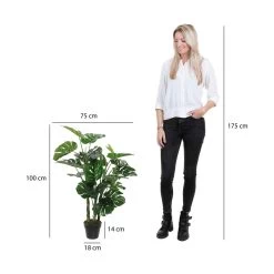 Planta Decorativa Mica Decorations (75 X 100 Cm) -Tienda de muebles de jardín 6aa3b16c9f928e5379f4c92d09d28559f11f5e51 9ec7f270ec604637b95b4f5136f3a612