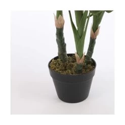 Planta Decorativa Mica Decorations (75 X 100 Cm) -Tienda de muebles de jardín 6b05c24266d698344baa5f048e45ce54fa16a276 2de524cc714b47ea931e337813aa00e9