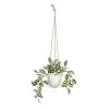 Planta Decorativa 24 X 35 X 25 Cm Blanco Verde PVC -Tienda de muebles de jardín 6cd8f5b2efd20909e6d1b5f3655d995e13c41629 5ee29abd900c4754b54ca11952c90444