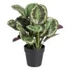 Planta Decorativa 37 X 37 X 41 Cm Verde PVC -Tienda de muebles de jardín 6d93e8027e7b96ff4c388d55e89d39fb439b5e3c 784398c741c845788d128899abcf37e2