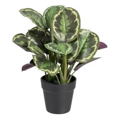 Planta Decorativa 37 X 37 X 41 Cm Verde PVC