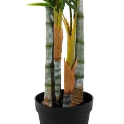 Planta Decorativa 100 X 130 X 210 Cm Verde PVC Palmera -Tienda de muebles de jardín 6e269464b44c502304144aef6aa9d5ab4ebe03a3 d5c18fd20e70450db919b4da8b600491