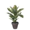 Planta Artificial STAN Marca MYCA -Tienda de muebles de jardín 6e8154d779eb45fac38f5ea98e4bab88ba31a636 111035 2