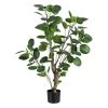 Planta Decorativa 80 X 77 X 113 Cm Verde PVC Aralia