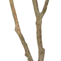 Planta Decorativa 116 Cm Verde PVC Roble -Tienda de muebles de jardín 70a11d799c5a77809cfd5a80ccd78a5366ae6cb7 64a19f67441c465f910758617740f553