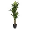 Planta Artificial DRACAENA Marca MYCA -Tienda de muebles de jardín 76f4308f860e1cc2f6dfe28974e03a9b7382a22f 111000 2