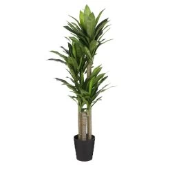 Planta Artificial DRACAENA Marca MYCA