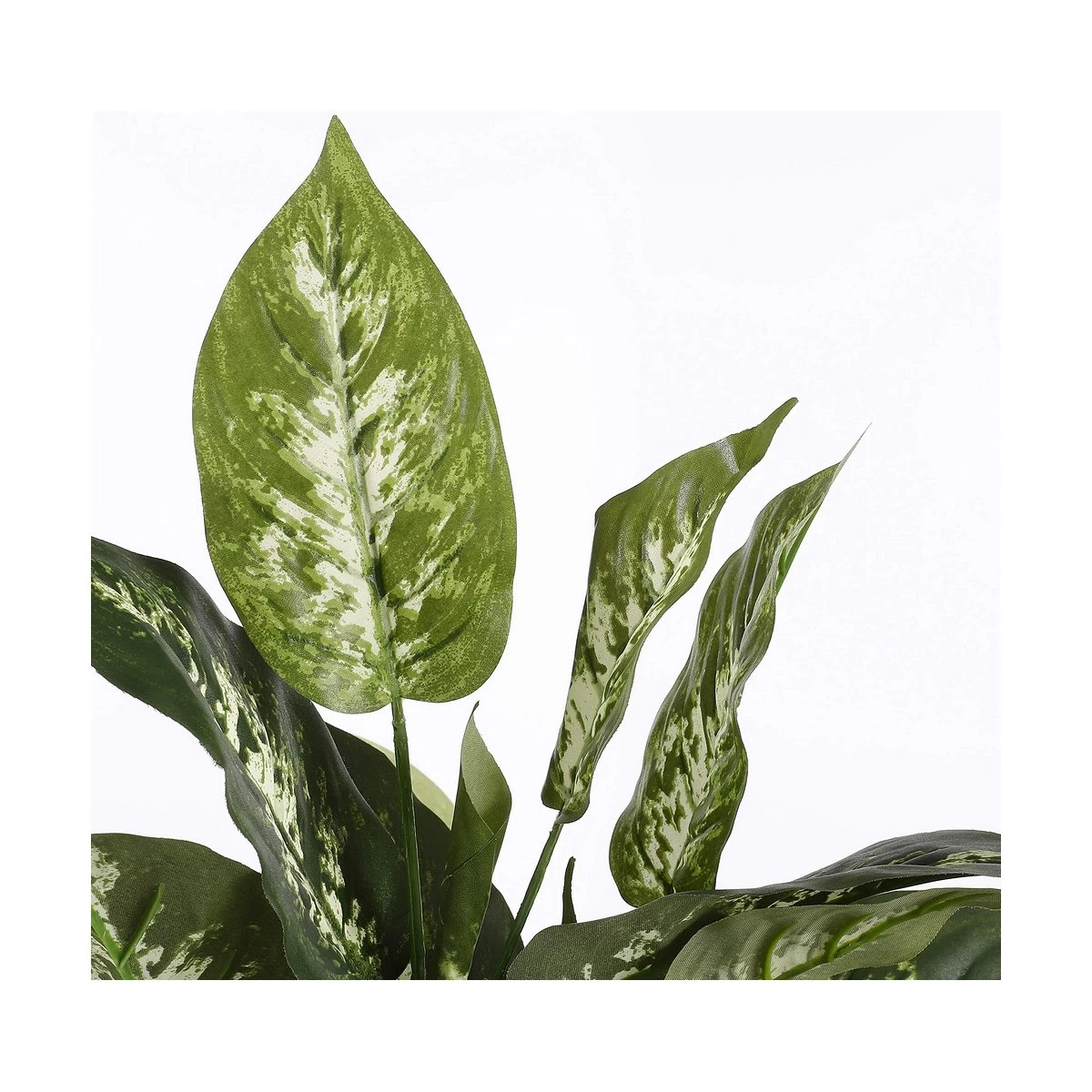 Planta Decorativa Mica Decorations Dieffenbachia Dieffenbachia Verde PVC (15,7 X 70 Cm) 4 Planta Decorativa Mica Decorations Dieffenbachia Dieffenbachia Verde PVC (15,7 X 70 Cm) - Imagen 2