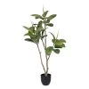 Planta Decorativa 116 Cm Verde PVC Roble -Tienda de muebles de jardín 78d9a1607c20884a235caf3d9b5a05426b25a0ce d4117d2b478346ceb62af1750e9c716c