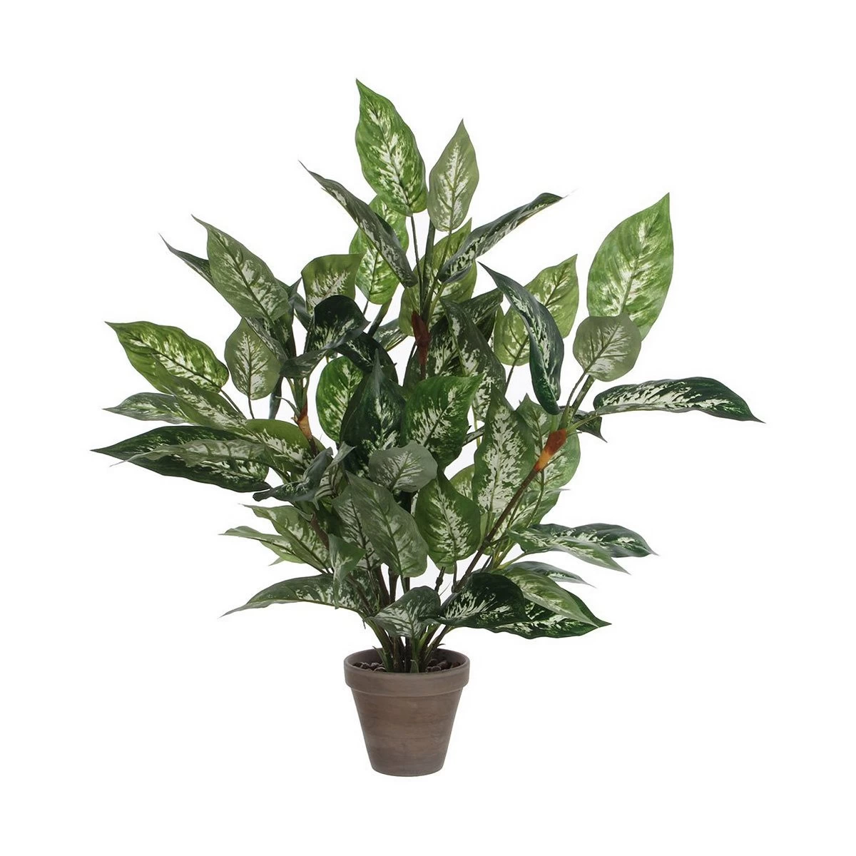 Planta Decorativa Mica Decorations Dieffenbachia Dieffenbachia Verde PVC (15,7 X 70 Cm) 3 Planta Decorativa Mica Decorations Dieffenbachia Dieffenbachia Verde PVC (15,7 X 70 Cm)