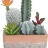 Cactus Con Maceta Terracotta -Tienda de muebles de jardín 7d380721edfff873e05c1d3ea37196740a18bc7e 395643