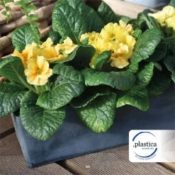 Jardinera 30 Cm -Tienda de muebles de jardín 84d8f336b56426a00c255620812cf7cd22333e34 28600d931b2c484caa72e377cc0113f3