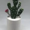 Planta Artificial CACTUS FLOR ROSA -Tienda de muebles de jardín 8ea1de10fffe15439f3b848e3cef1a7fb6de5948 396996