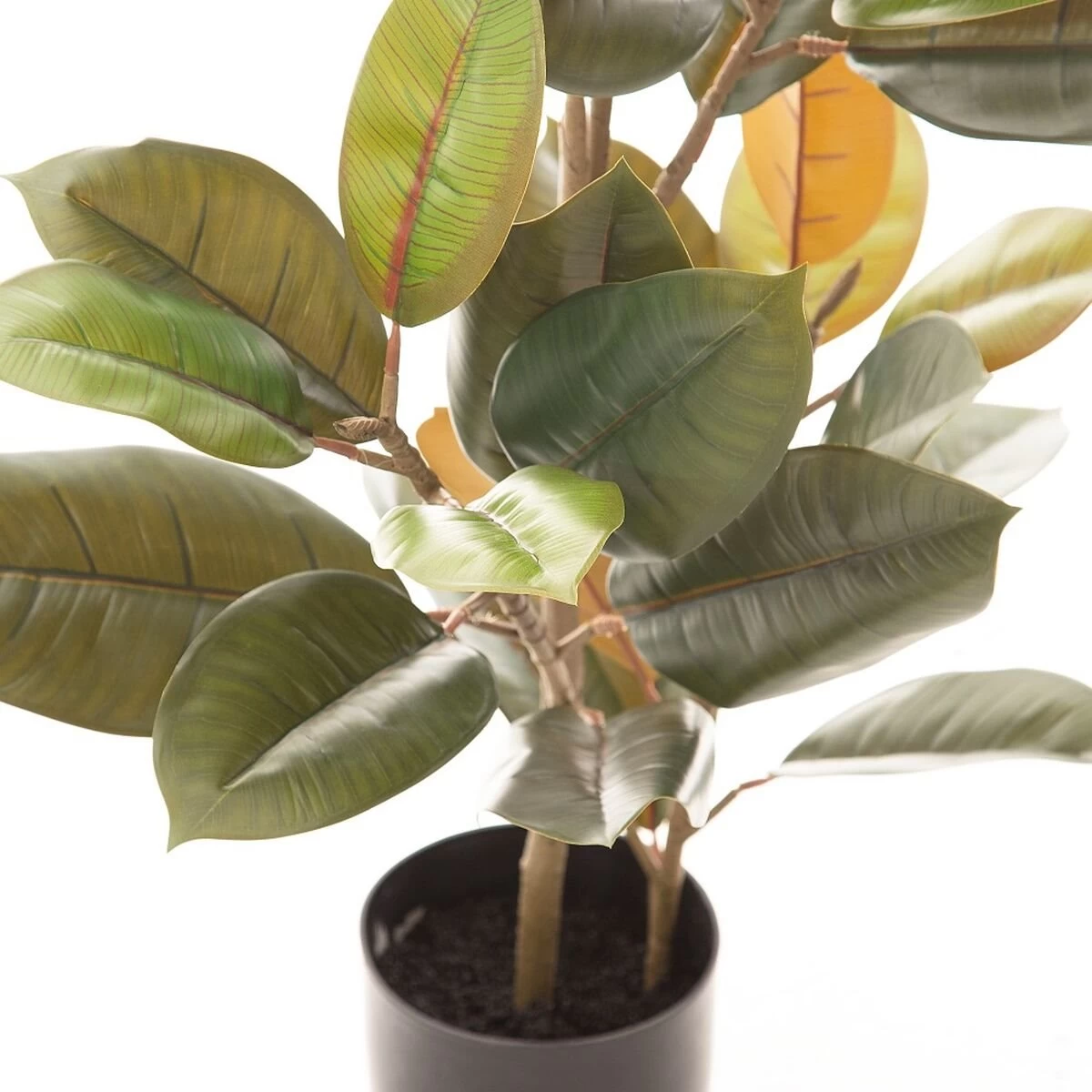 Planta Decorativa 36 X 37 X 90 Cm PVC Ficus Verde Oscuro 5 Planta Decorativa 36 X 37 X 90 Cm PVC Ficus Verde Oscuro - Imagen 3