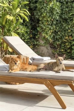 Conjunto De 2 Tumbonas De Jardín De Madera Clara ATRANI -Tienda de muebles de jardín 9490eb4b5f42fd258d0e19a45e0ae7f4a48af0ef 9c73ad47be9b4720afb7df1e195d4921