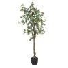 Planta Decorativa 78 X 68 X 150 Cm Verde PVC Eucalipto -Tienda de muebles de jardín 94f2734303ca7068f942c9a40658efe731f3b2f4 13402ed93d2340a8bdb6764b519da526