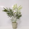 Planta Artificial Con Maceta ELSY -Tienda de muebles de jardín 9806ec8f3df8be7cf83de34ddff2792978056297 106153