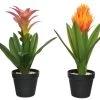 Planta BROMELIA 40cm Colores Surtidos -Tienda de muebles de jardín a211cd0422f446bfe7d359696a4f34d83b7bb7c7 100041