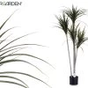 Planta Artificial YUCA Marca IBERGARDEN -Tienda de muebles de jardín a36a81f48a0f0544d91ad586847fc0b07a2a337d 111671