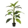 Planta Artificial STRELITZIA Marca MYCA -Tienda de muebles de jardín a5d999a1f0fa5a921f2ba55862c6204ab16f7dec 110983 2