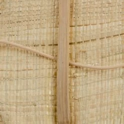 Rama 20 X 8 X 200 Cm Natural Fibra Natural -Tienda de muebles de jardín a62ef1cdb597b52b6e5522e2853ccf568017f4a8 89a18d644f3b4fe580bc5b83a9587045
