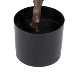 Planta Decorativa 67 X 62 X 100 Cm Verde Caucho PVC -Tienda de muebles de jardín b8ce9fac0d1078a79faf29b73a9ff7f3d365c56f 540c62496581456b9a8c312293eddf5c