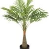 PLANTA PALMERA -Tienda de muebles de jardín bc3b94bf07b6ba20b8baadc543b3aebb25d355a4 107186
