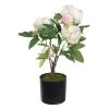 Planta Decorativa 36 X 30 X 44 Cm Crema Peonía -Tienda de muebles de jardín c1dfaf3221ac684d8e263686e3af5832edde54eb 5821f138191a4c1eaa114f1e692b32db